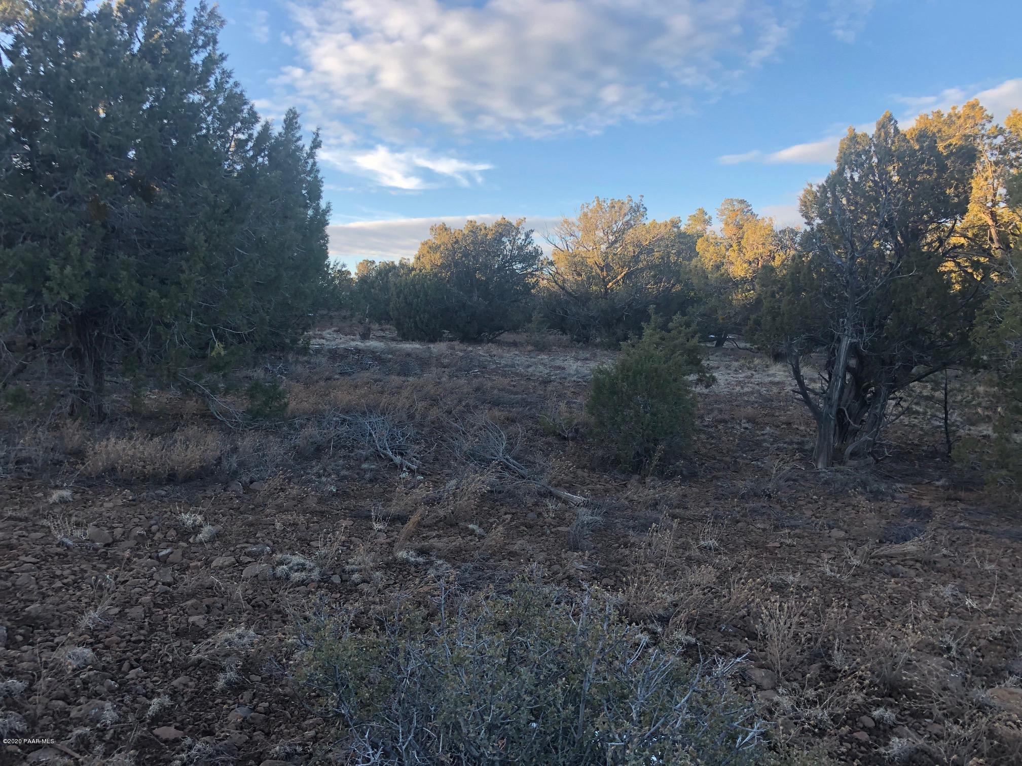Lot 1567 Lion Canyon Ranch Road Seligman, AZ 86337 - Photo 13 of 15 IMG_2763
