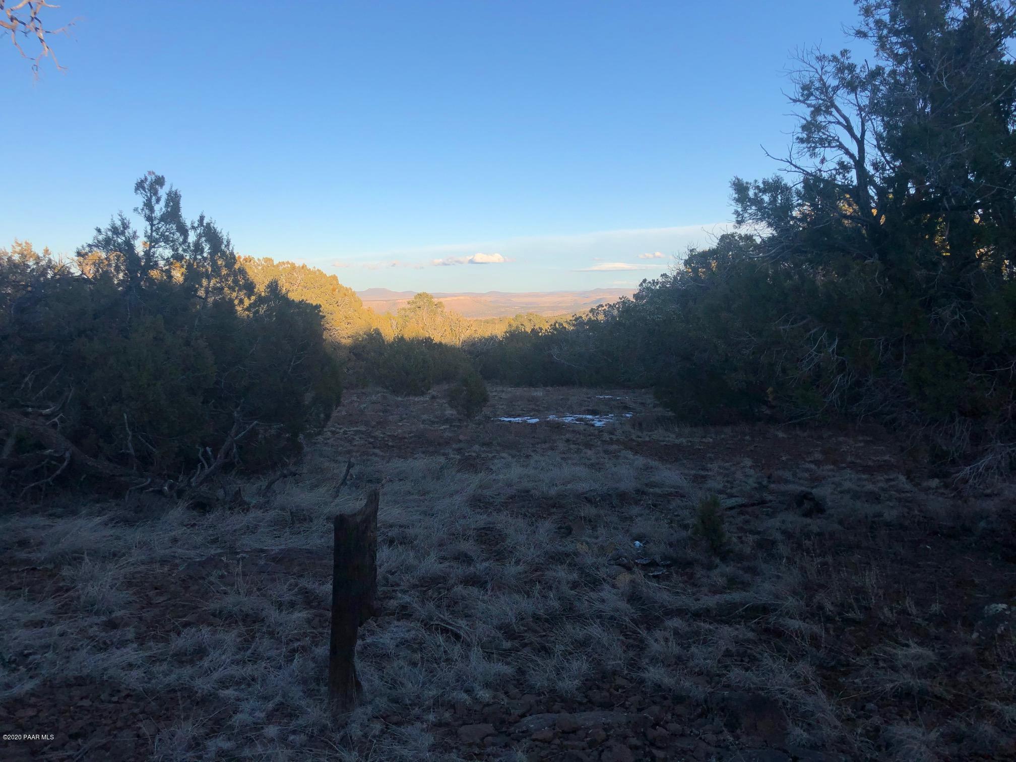 Lot 1567 Lion Canyon Ranch Road Seligman, AZ 86337 - Photo 14 of 15 IMG_2766