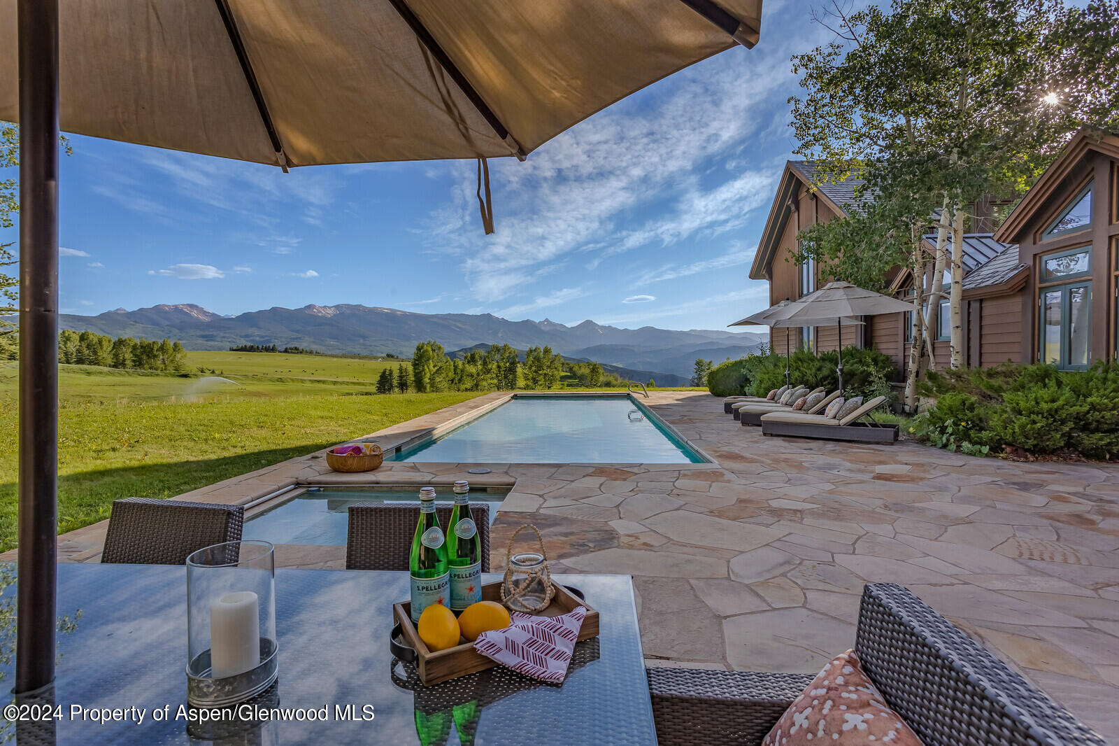 1200 Kessler Drive Aspen, CO 81612 - Photo 6 of 58 Pool View