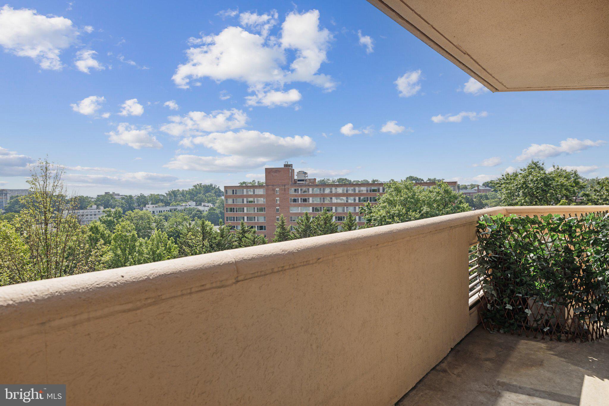 1301 North Courthouse Road, Unit 602 Arlington, VA 22201 - Photo 21 of 34