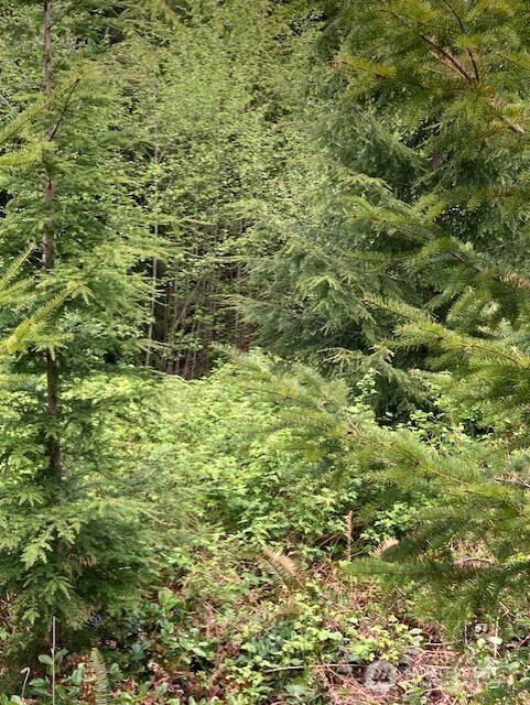 53 Dunsmuir Road Port Ludlow, WA 98365 - Photo 4 of 8