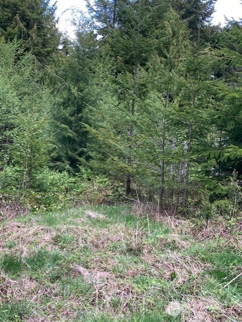 53 Dunsmuir Road Port Ludlow, WA 98365 - Photo 5 of 8