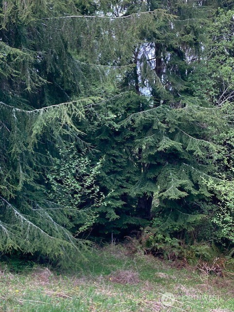 53 Dunsmuir Road Port Ludlow, WA 98365 - Photo 7 of 8