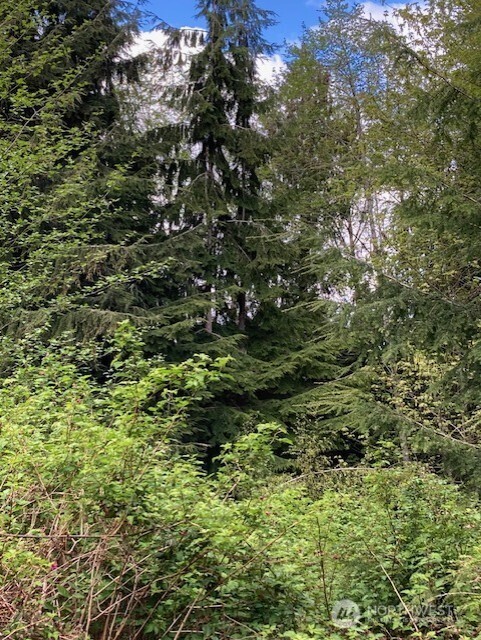 53 Dunsmuir Road Port Ludlow, WA 98365 - Photo 8 of 8