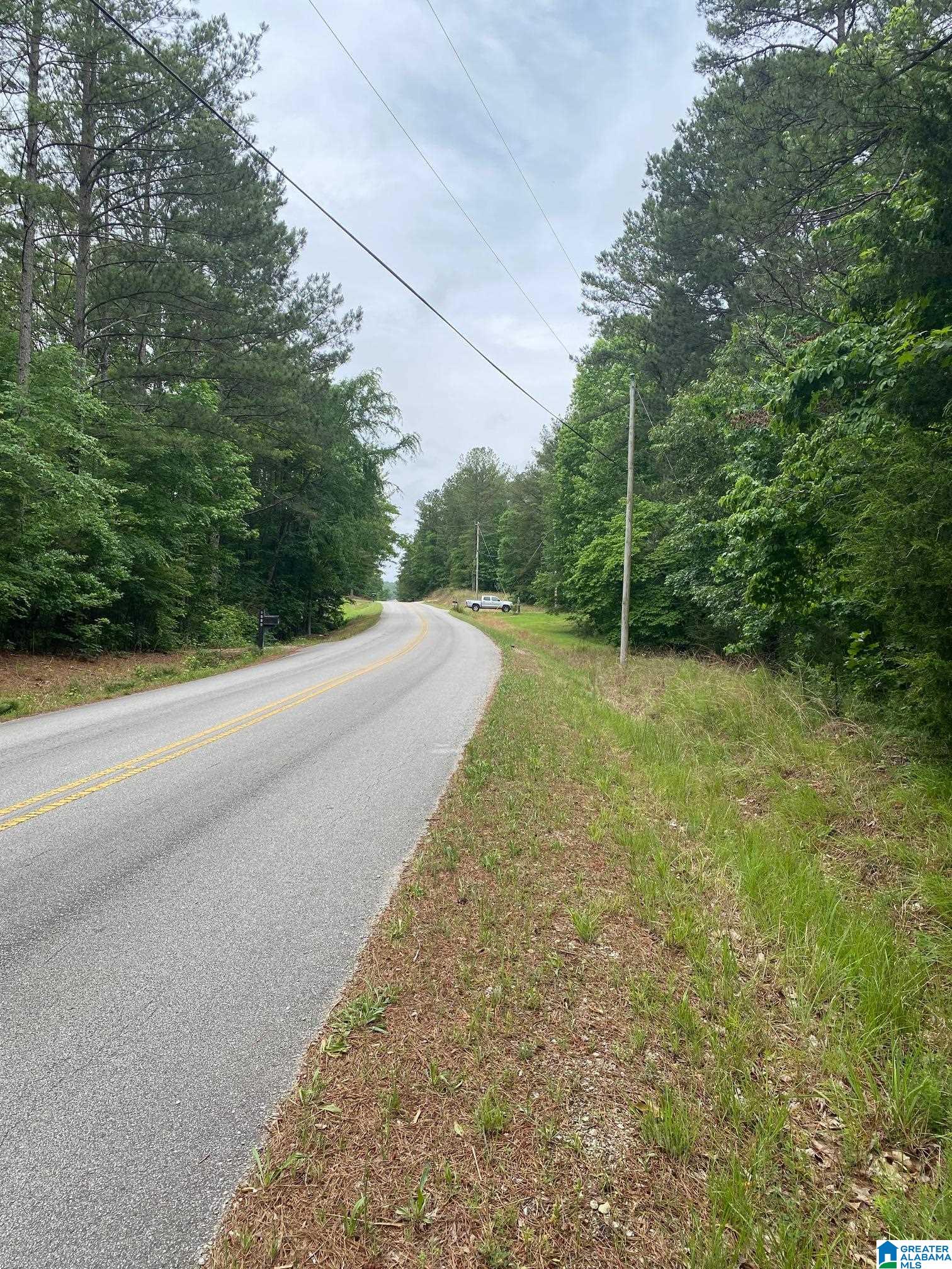 0 Roy Webb Cutoff Road, Unit 2 LOTS Piedmont, AL 36272 - Photo 2 of 10