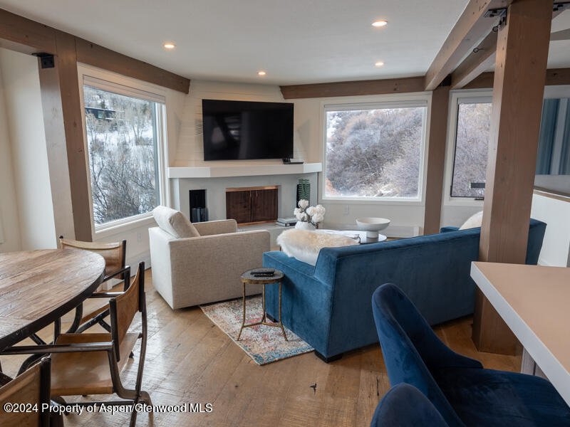 1711 Juniper Hill Road Aspen, CO 81611 - Photo 3 of 19 a living room with furniture a large window and a fireplace