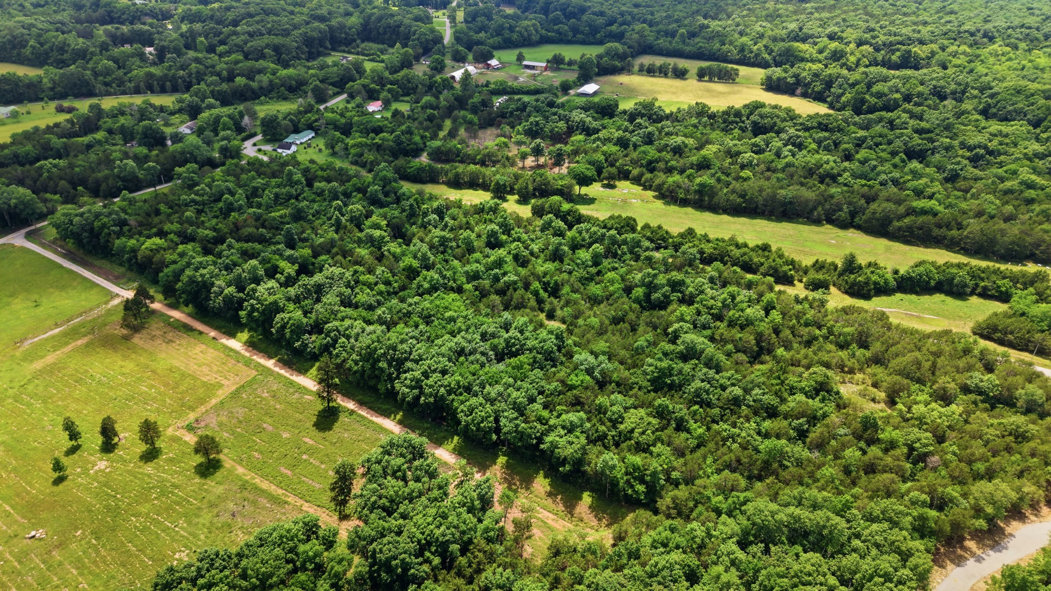 0 Bob Cheek Road Lewisburg, TN 37091 - Photo 6 of 14