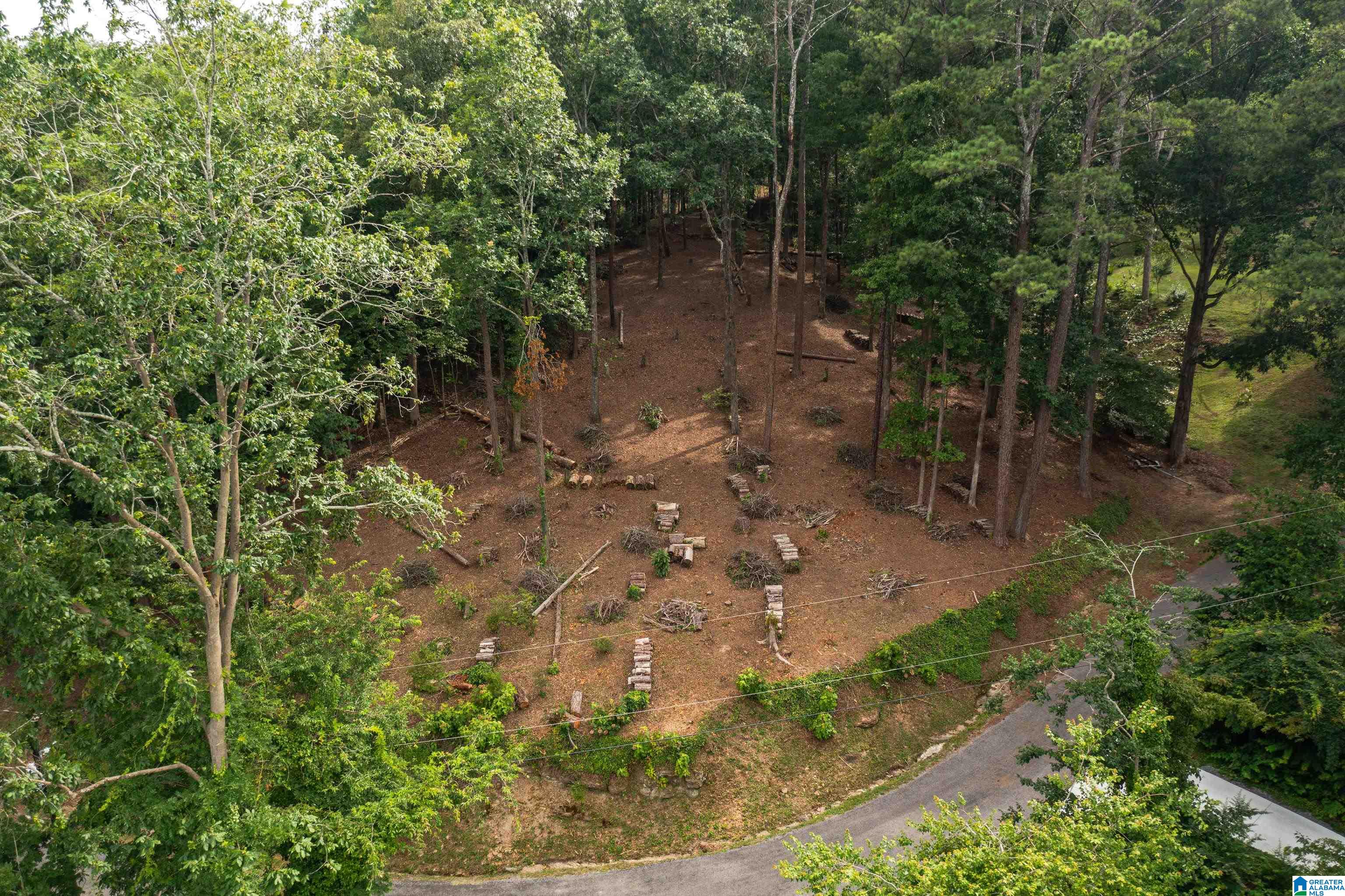 58 East Sunset Boulevard Oneonta, AL 35121 - Photo 11 of 40