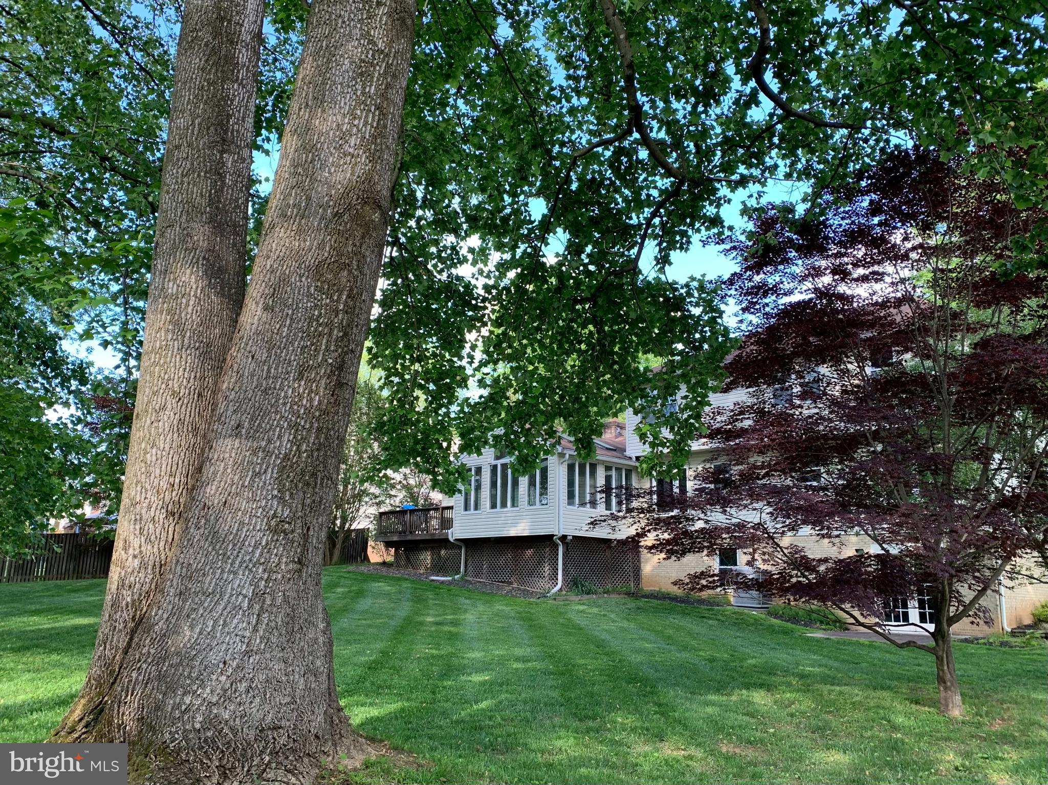 13604 Turnmore Road Silver Spring, MD 20906 - Photo 46 of 50 Back view in July 2