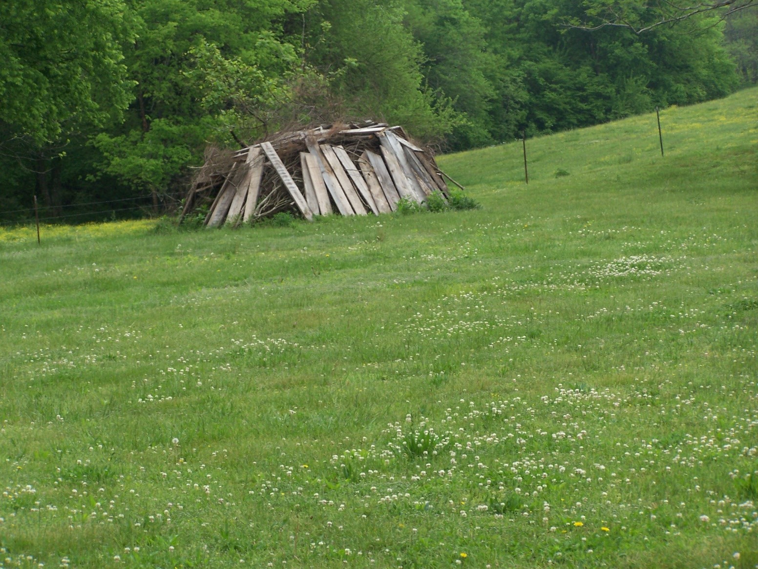 275 Chicken Creek Road Pulaski, TN 38478 - Photo 18 of 22 a view of a backyard with a garden and entertaining space