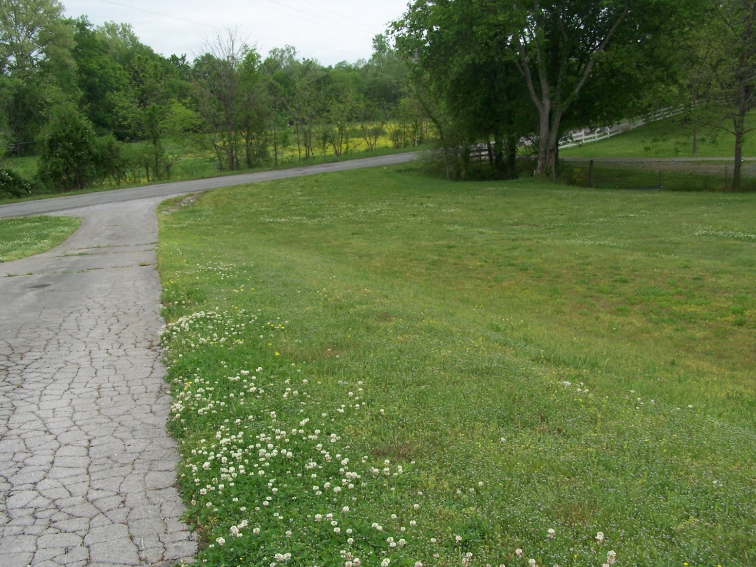 275 Chicken Creek Road Pulaski, TN 38478 - Photo 10 of 22 a view of outdoor space with deck and yard