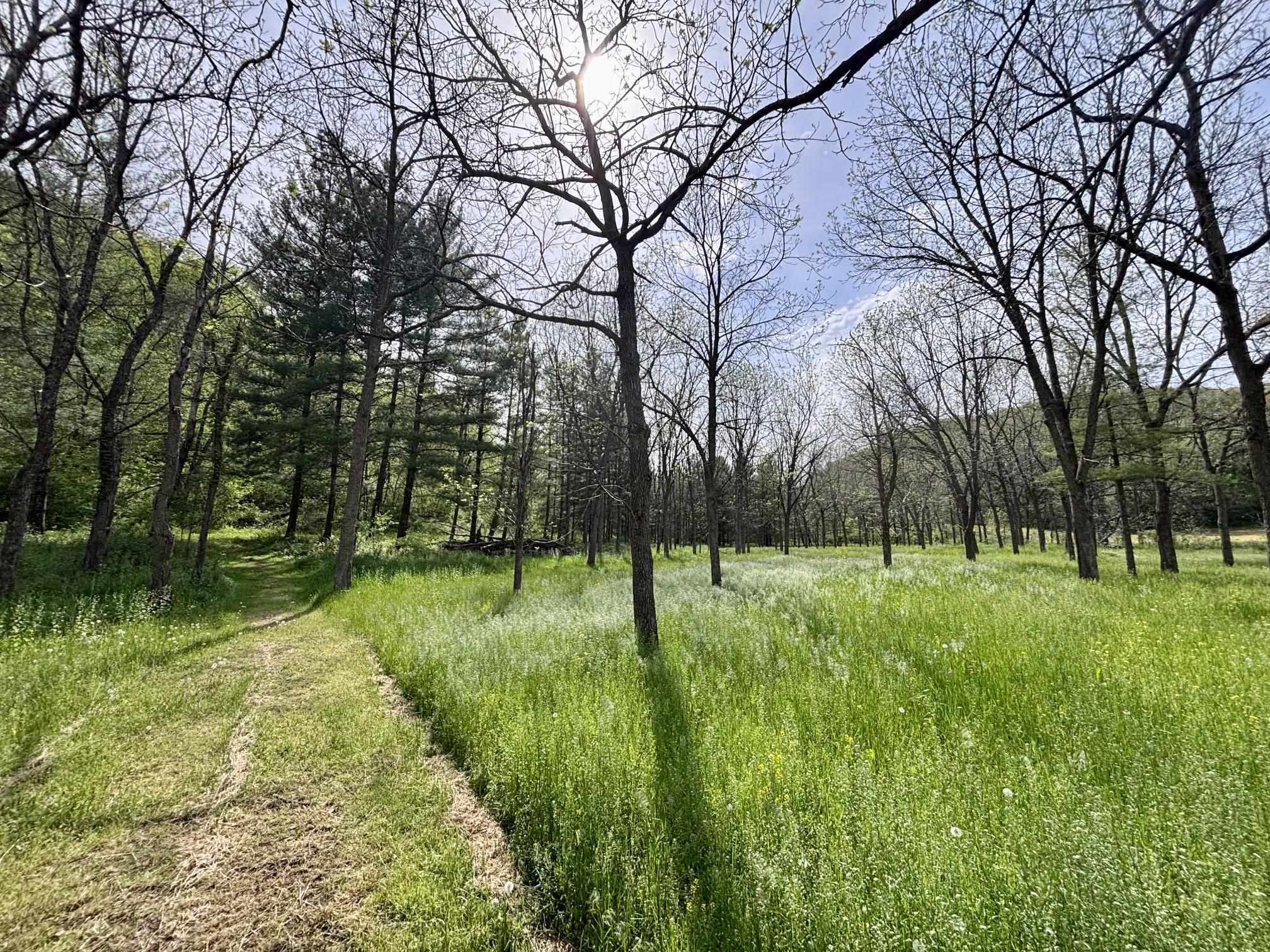 50792 Haney Valley Road Gays Mills, WI 54631 - Photo 11 of 39