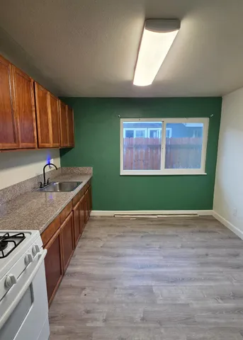 a kitchen with stainless steel appliances granite countertop a sink a stove top oven a chimney and a potted plant