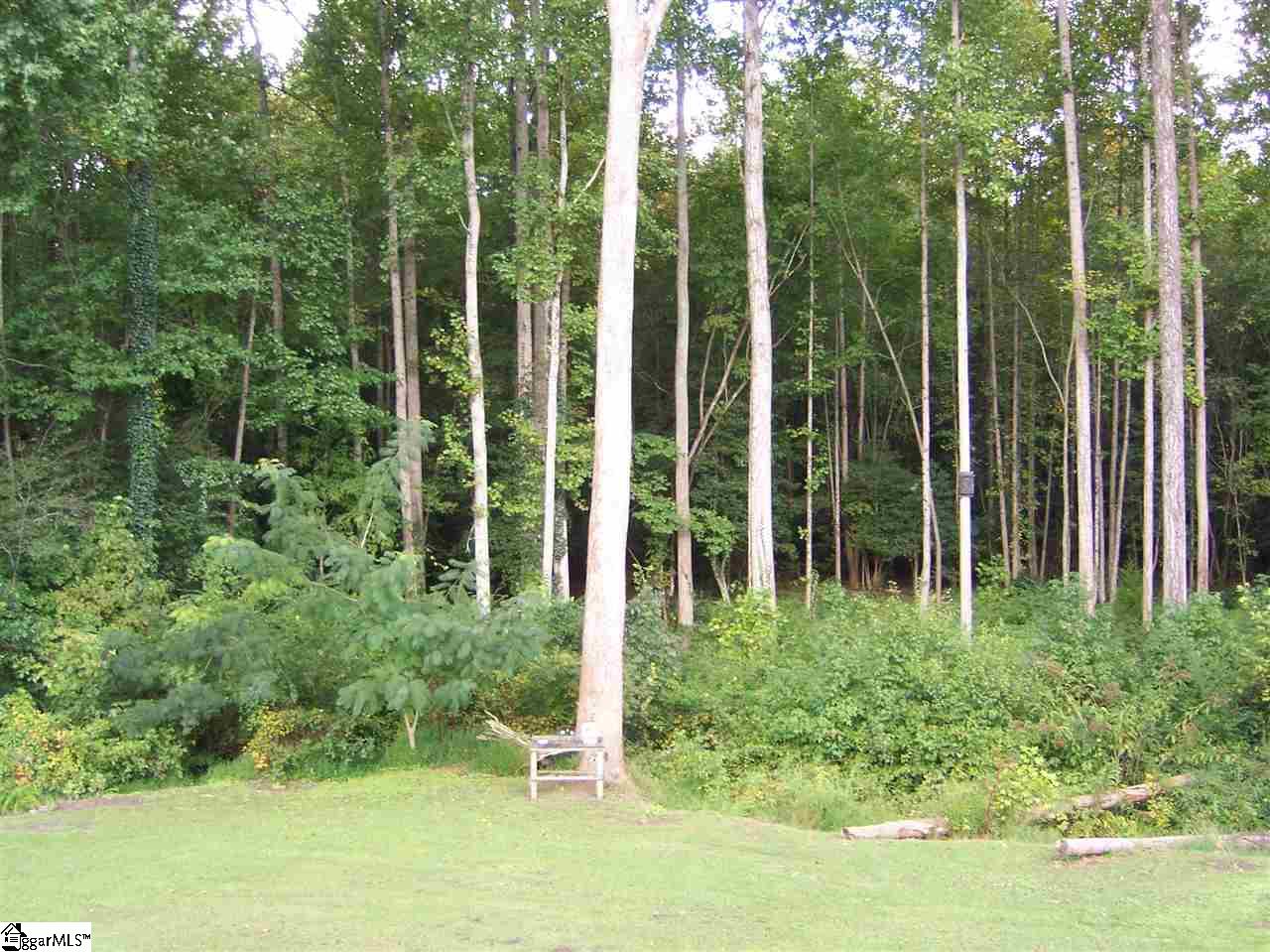 271 Old Liberty Pickens Road Pickens, SC 29671 - Photo 25 of 35