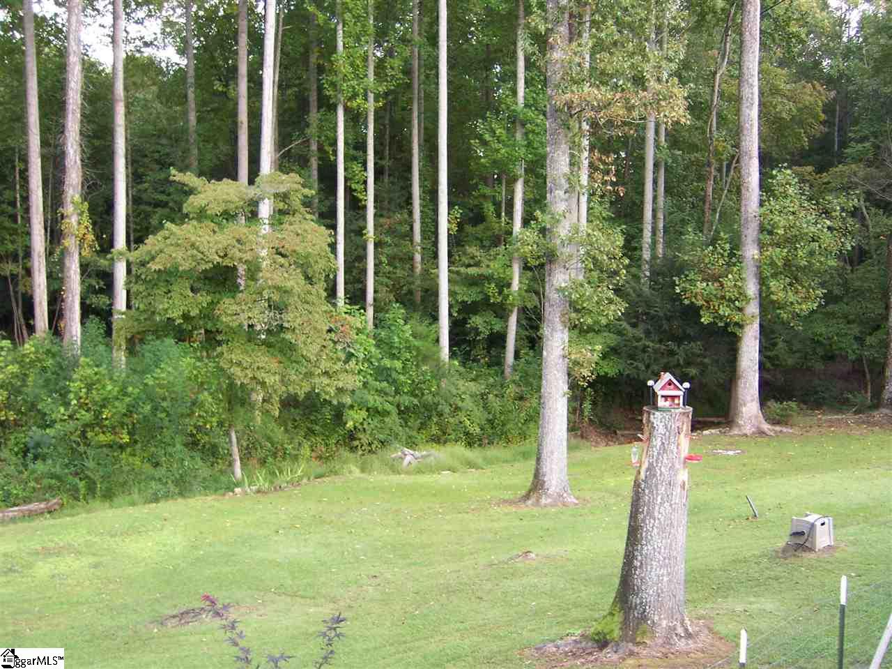 271 Old Liberty Pickens Road Pickens, SC 29671 - Photo 27 of 35