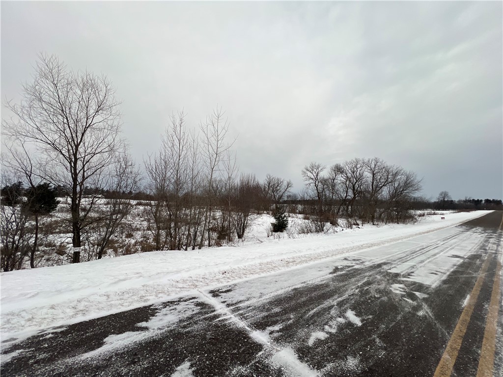 Lot 60 21 1/4 Street Rice Lake, WI 54868 - Photo 3 of 6