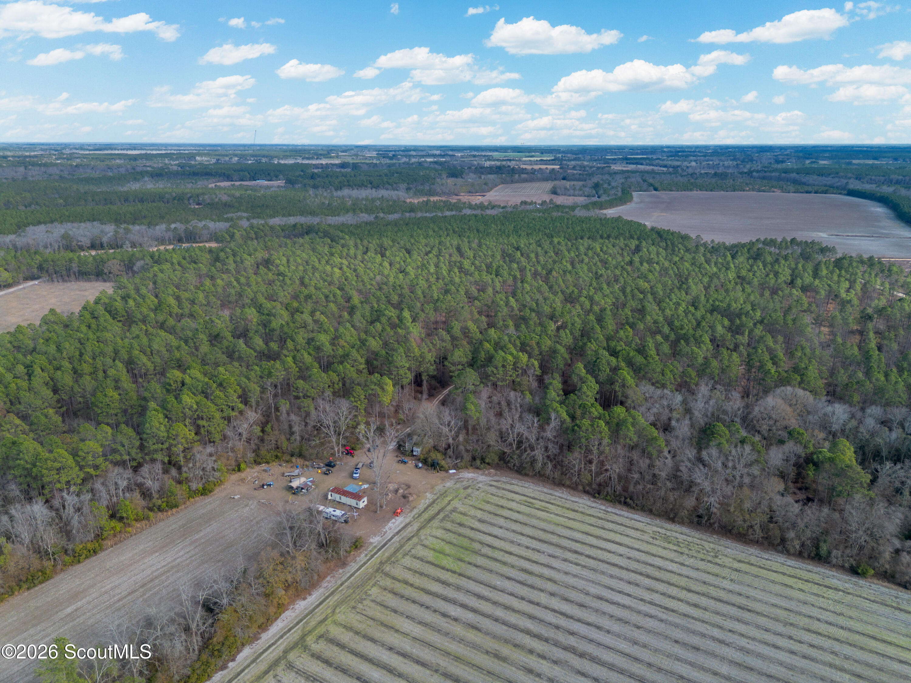 0 Reddish Road Odum, GA 31555 - Photo 6 of 46 230-AC-REDDISH-ODUM-5