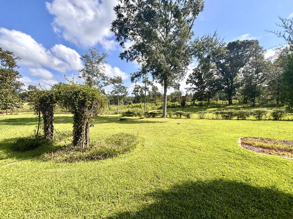 114 East T Poole Road Poplarville, MS 39470 - Photo 63 of 73 Gallery Image 63