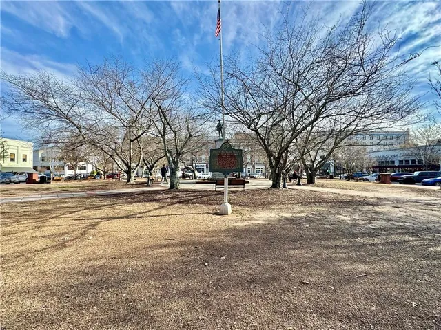 a park view with large trees
