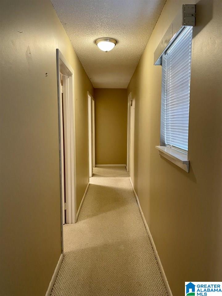 8743 Old Tennessee Pike Road Pinson, AL 35126 - Photo 23 of 49