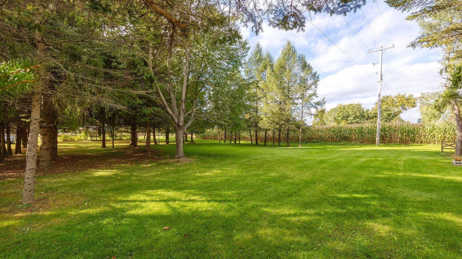 11725 Hardcastle Road Brooklyn, MI 49230 - Photo 15 of 63 00__12