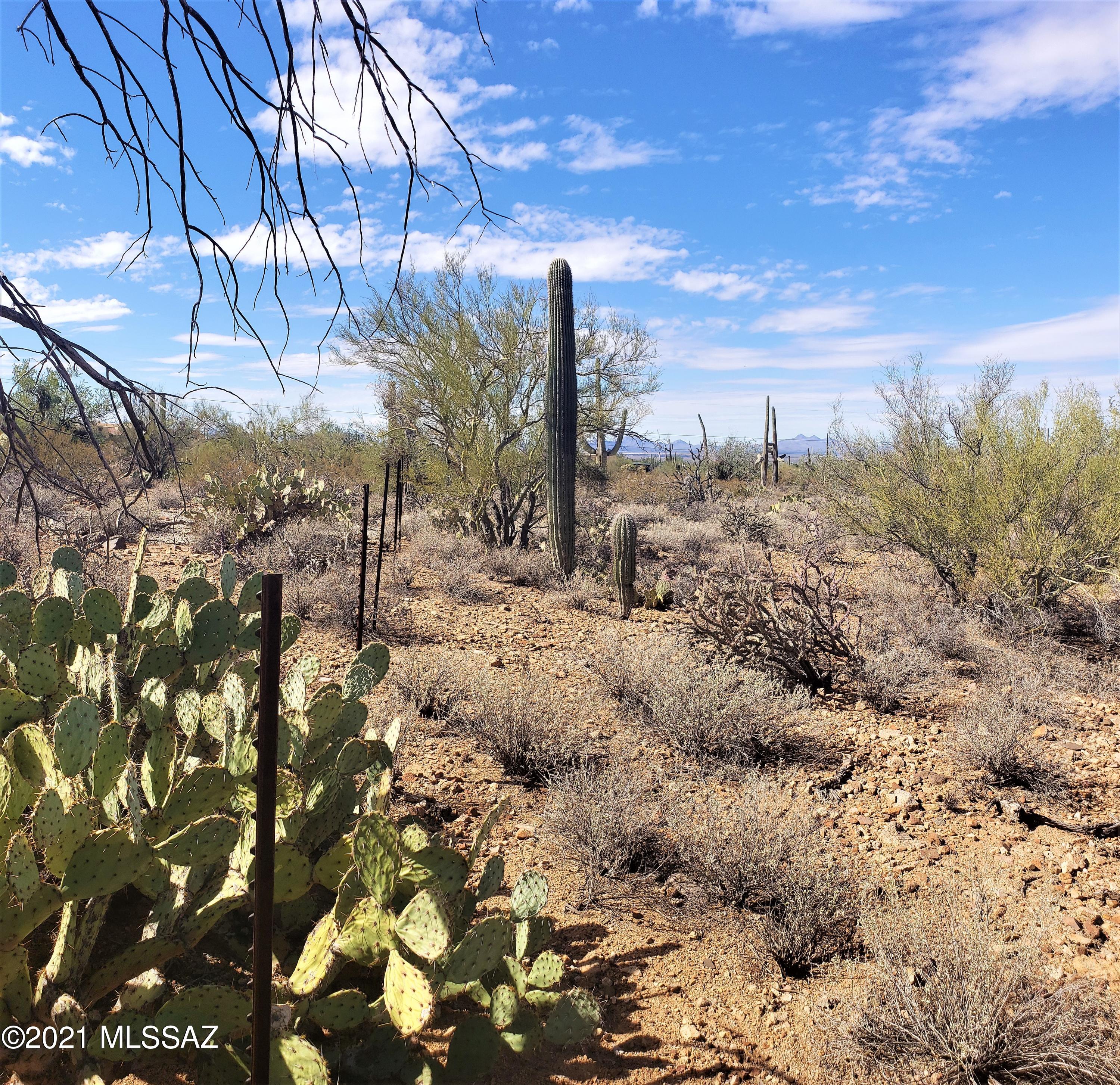 9595 West Rudasill Road Tucson, AZ 85743 - Photo 10 of 11 Gallery Image 10
