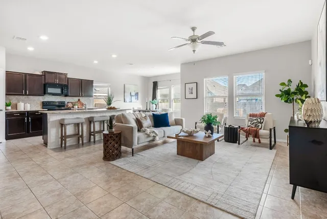 a living room with furniture and a potted plant
