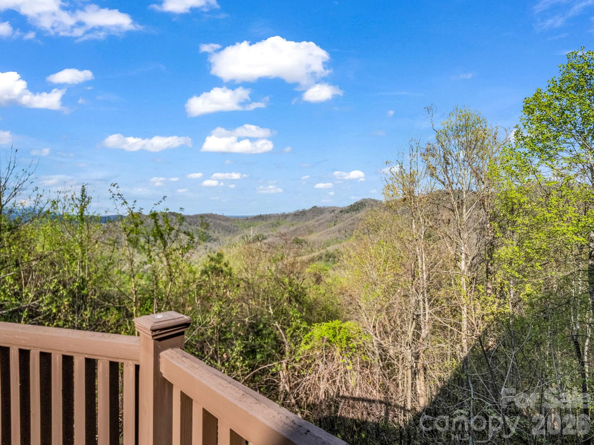 29 Crockett Ridge Road Black Mountain, NC 28711 - Photo 43 of 48