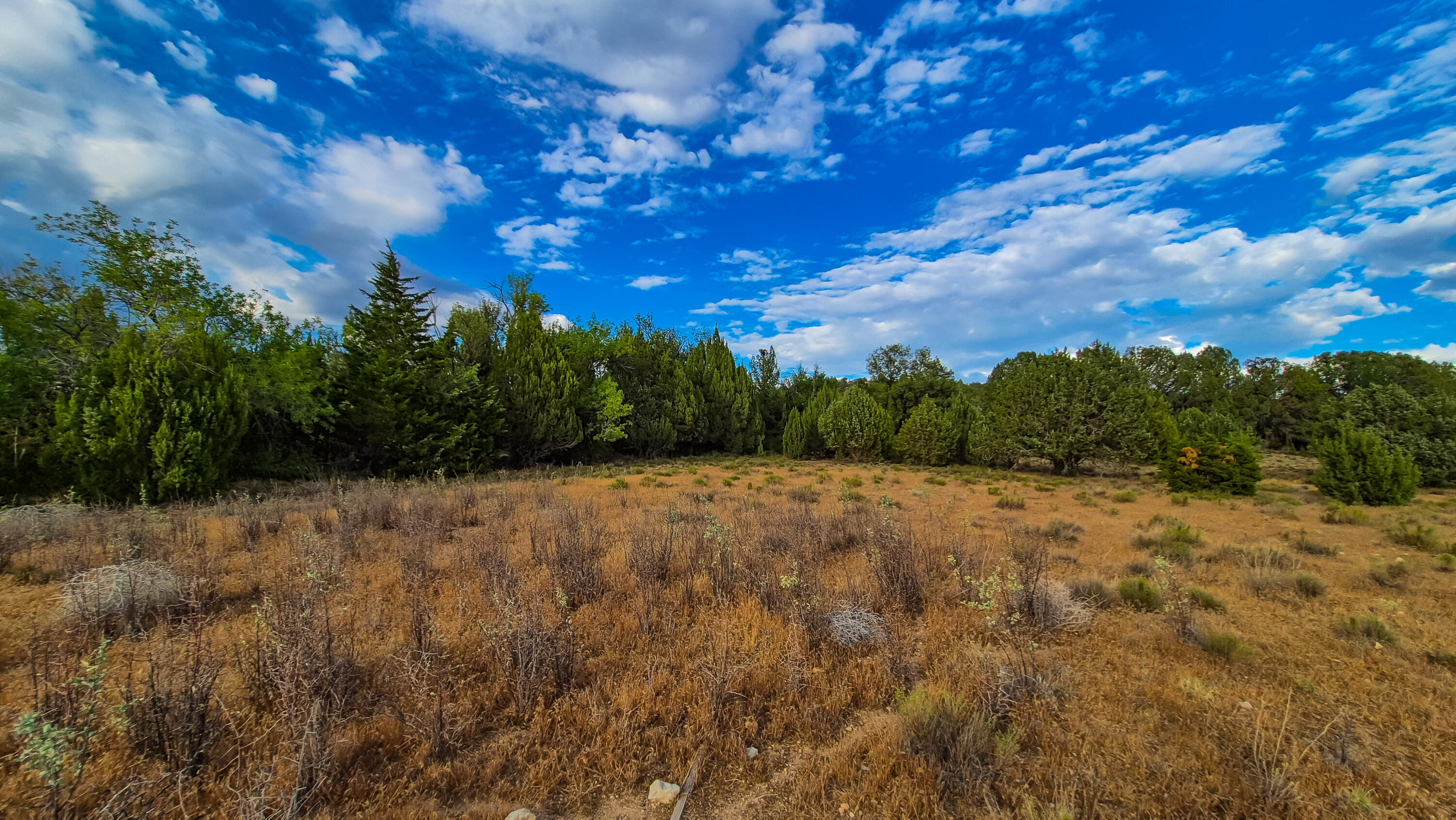 East Veyo Resort Road, Unit 7158B1NW Veyo, UT 84782 - Photo 2 of 18 20260722_191353