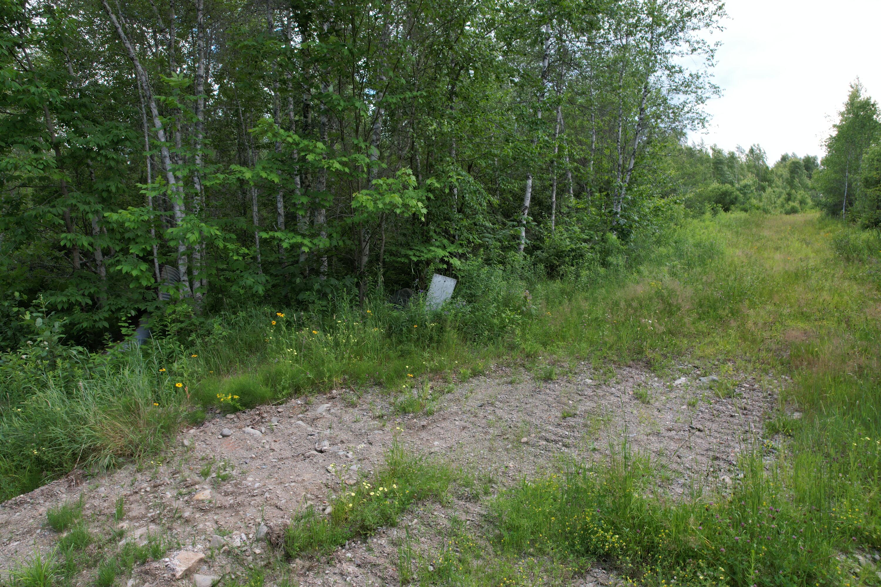 24 Old County Road Charlotte, ME 04666 - Photo 13 of 49 DJI_0059