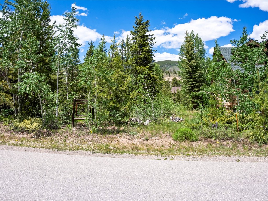 281 Elk Circle Dillon, CO 80435 - Photo 11 of 12 a view of a yard and a street view