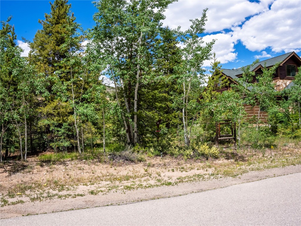 281 Elk Circle Dillon, CO 80435 - Photo 12 of 12 a view of a yard with plants and trees