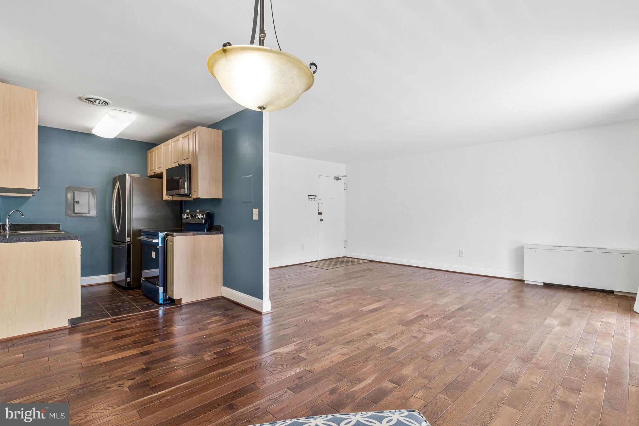 1005 Chillum Road, Unit 207 Hyattsville, MD 20782 - Photo 9 of 25 Living Area