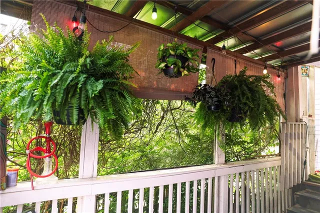 a view of a flower in a garden