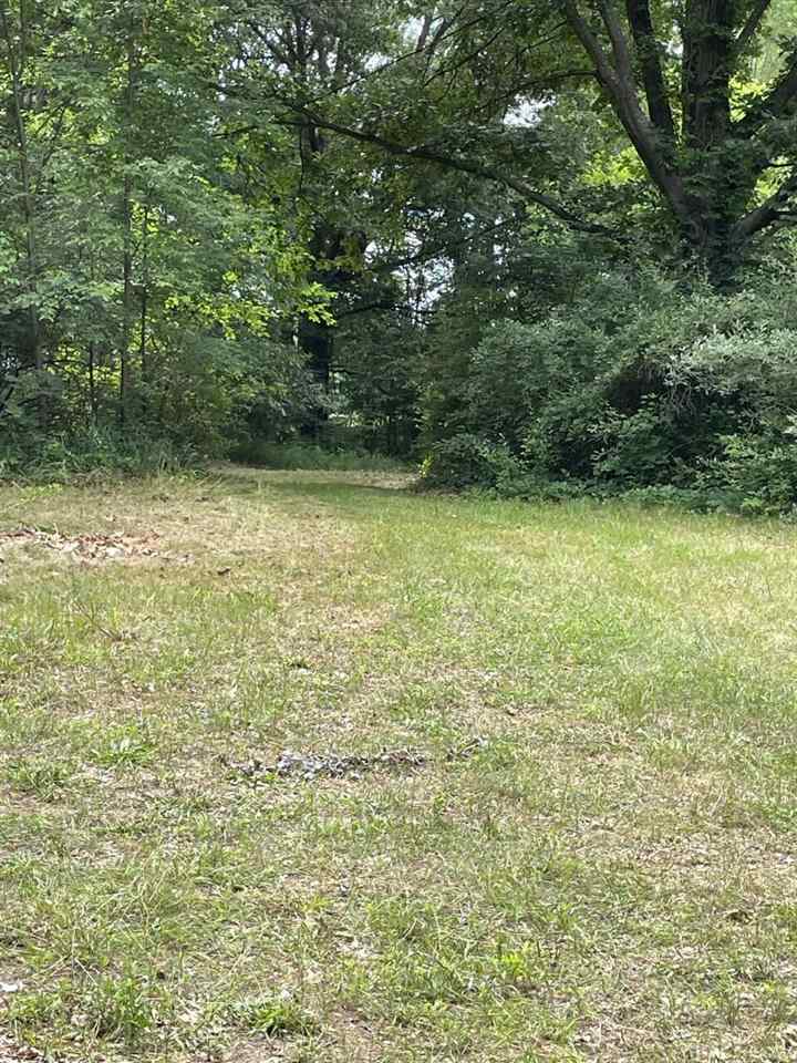 0 North P Drive Albion, MI 49224 - Photo 7 of 11