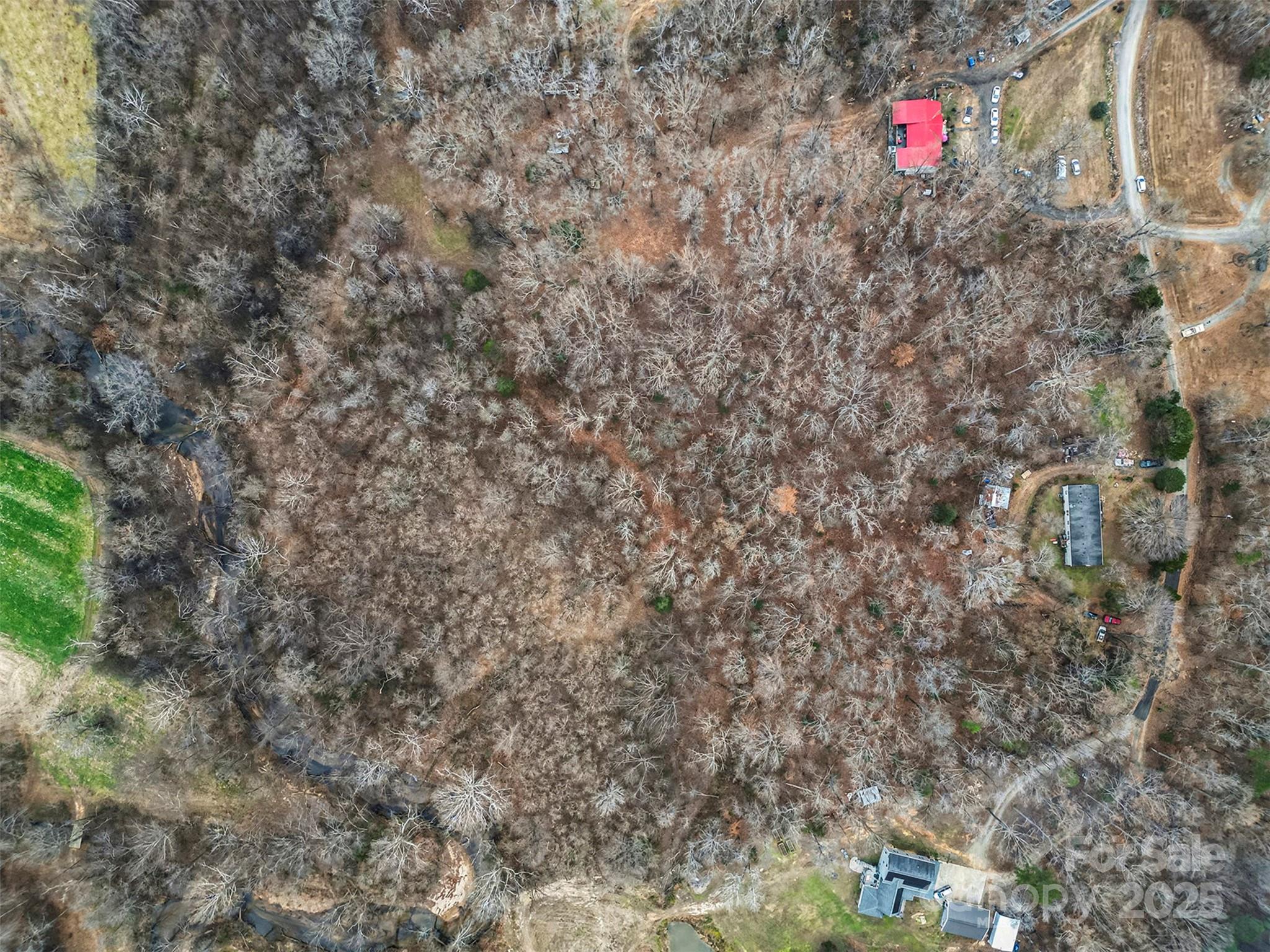 0 Rock Hollar Road Stanley, NC 28164 - Photo 11 of 18 a close up of a tree