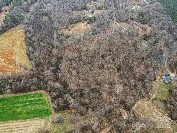 a view of a yard with a trees
