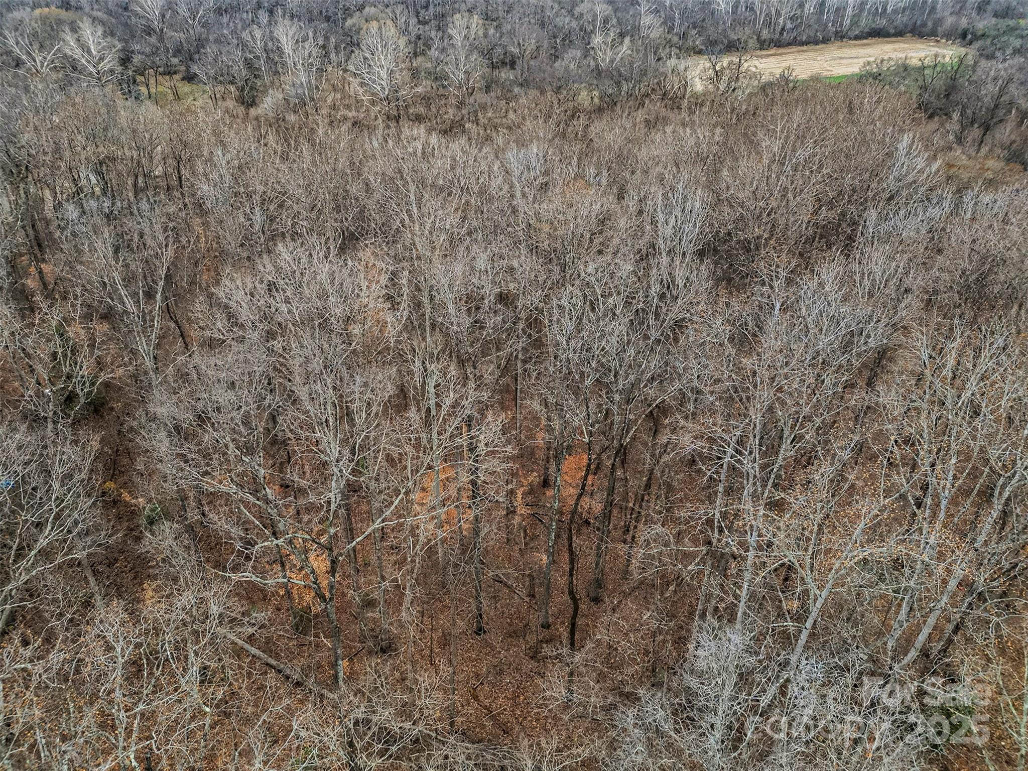0 Rock Hollar Road Stanley, NC 28164 - Photo 15 of 18 a view of a dry yard
