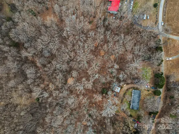 a view of a dry yard