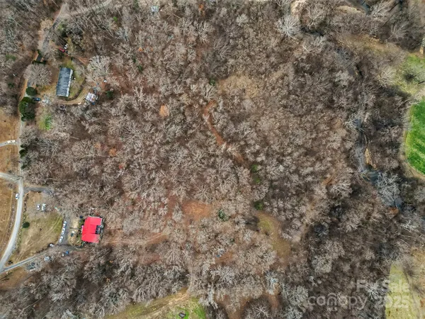 a view of a dry yard