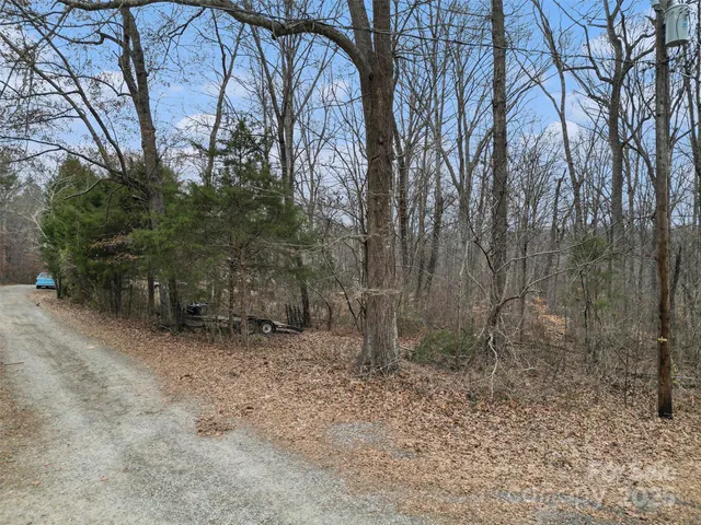 a view of a forest with trees in the background