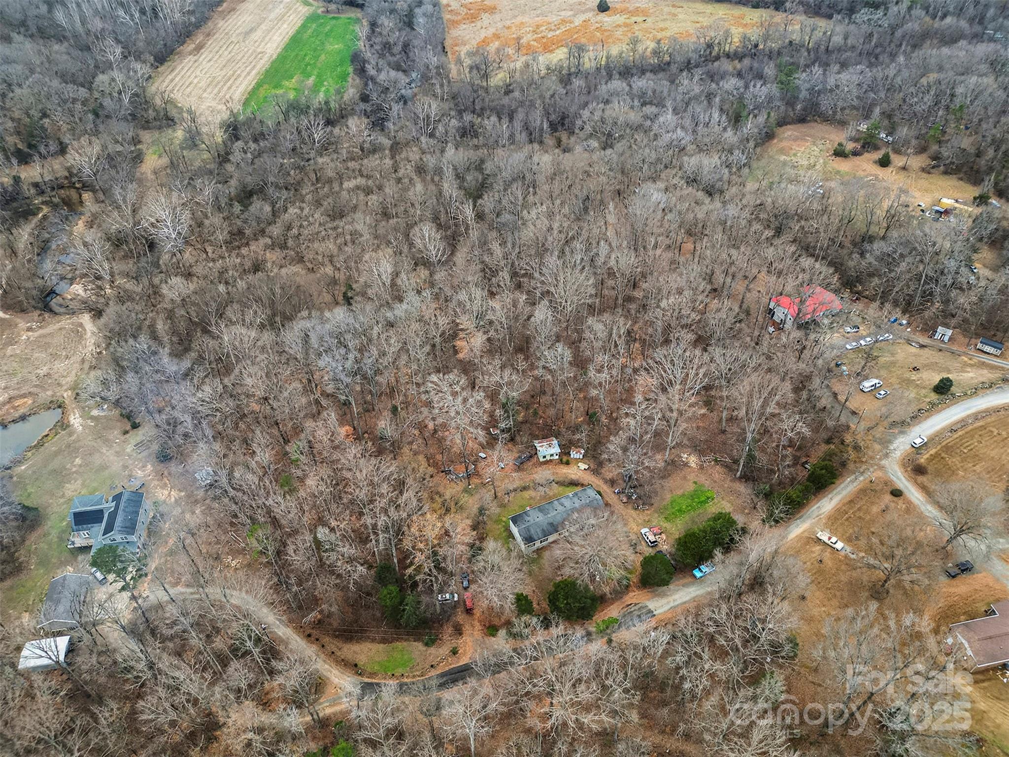 0 Rock Hollar Road Stanley, NC 28164 - Photo 10 of 18 a picture of trees