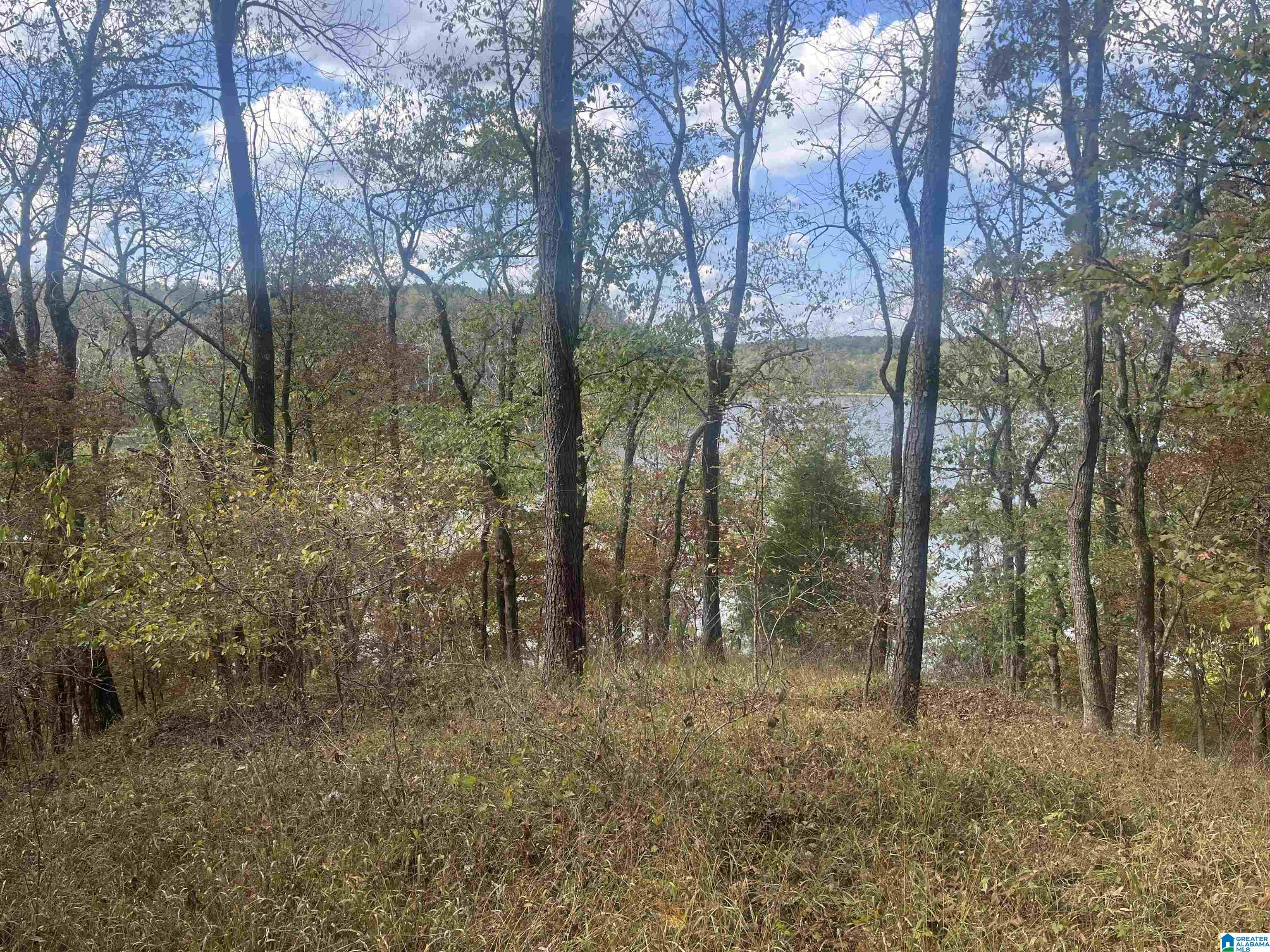 Eagle Port Road, Unit 7&8 Quinton, AL 35130 - Photo 12 of 12