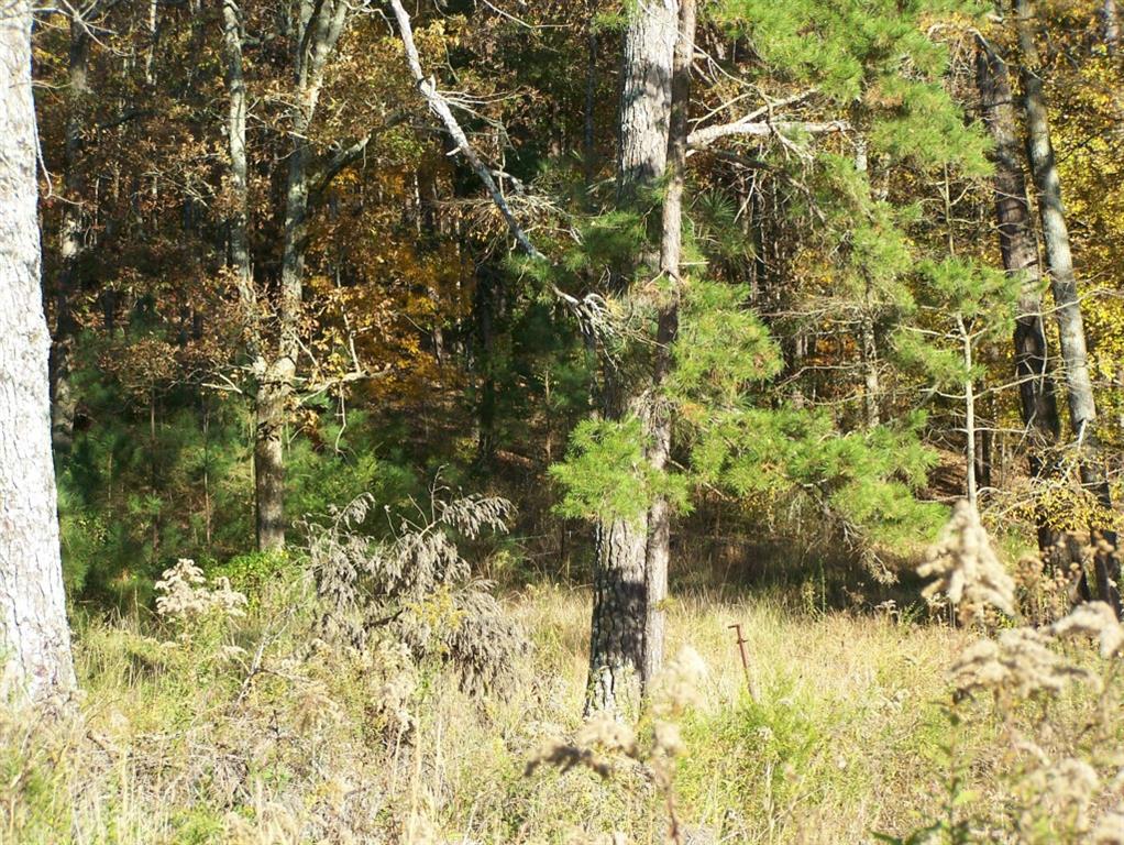 0 Fir Road Northeast Ranger, GA 30734 - Photo 1 of 1