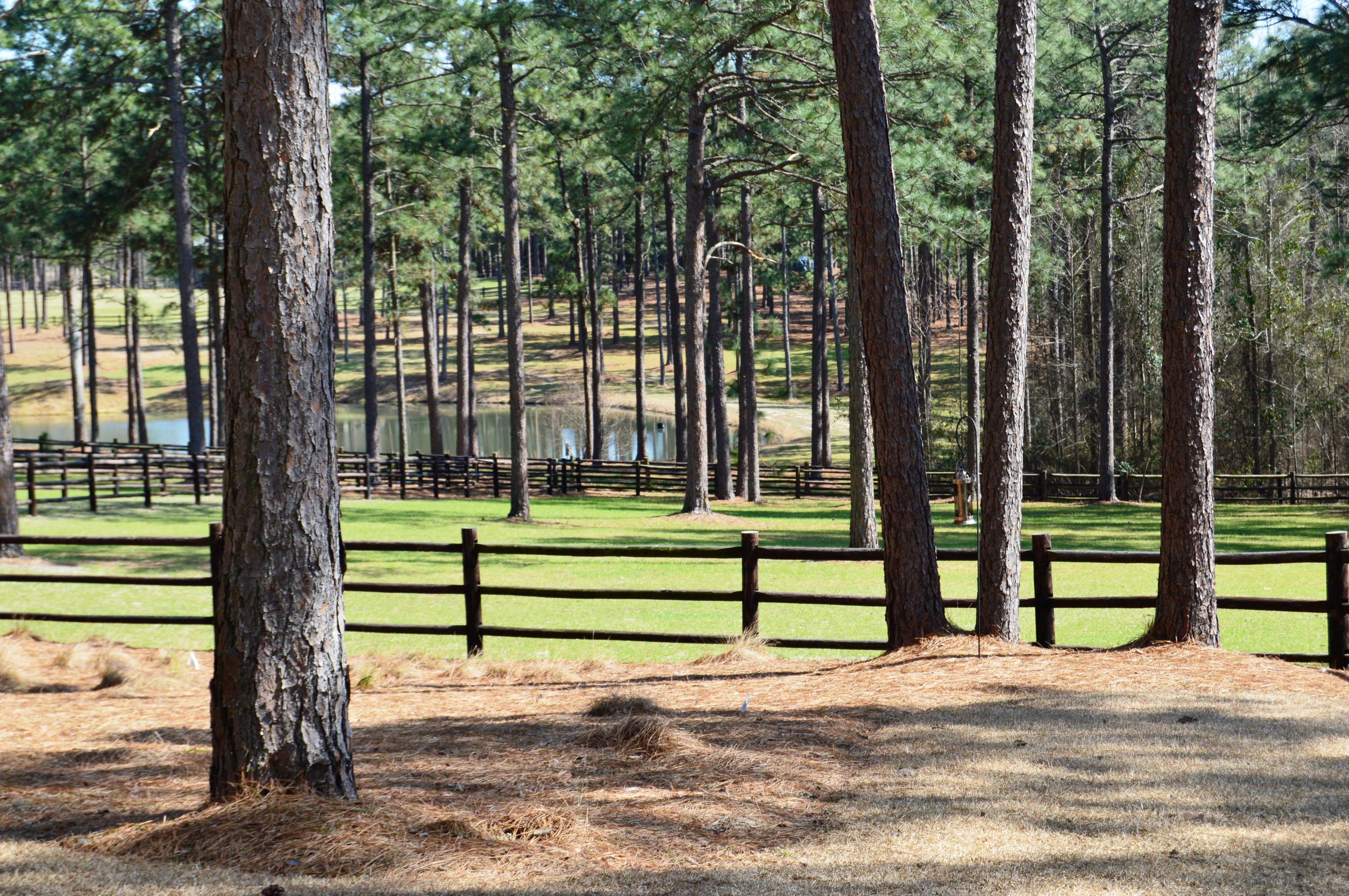 760 Youngs Road Vass, NC 28394 - Photo 4 of 40 DSC_0035