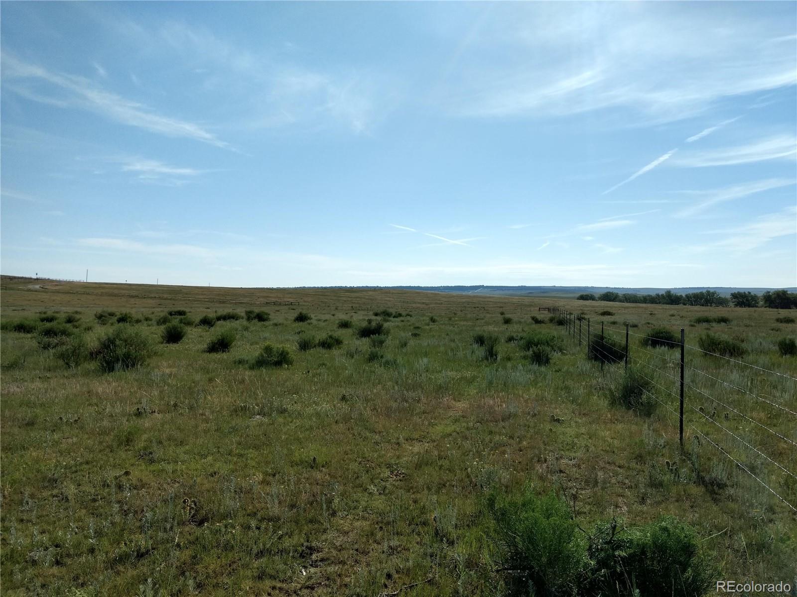Lot 1 Fiddleback Ranch Road Kiowa, CO 80117 - Photo 17 of 34 a view of a green field with lots of bushes