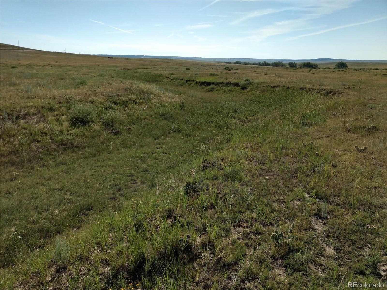Lot 1 Fiddleback Ranch Road Kiowa, CO 80117 - Photo 20 of 34 a view of a field with an ocean view