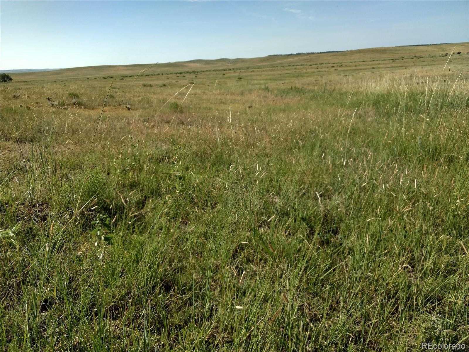 Lot 1 Fiddleback Ranch Road Kiowa, CO 80117 - Photo 29 of 34 a view of an ocean