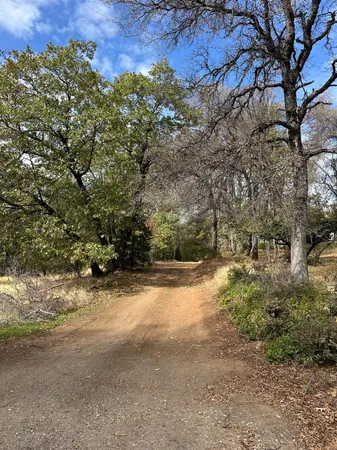 a view of a yard with a tree
