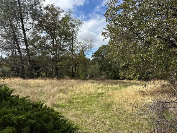 a view of a yard with a tree